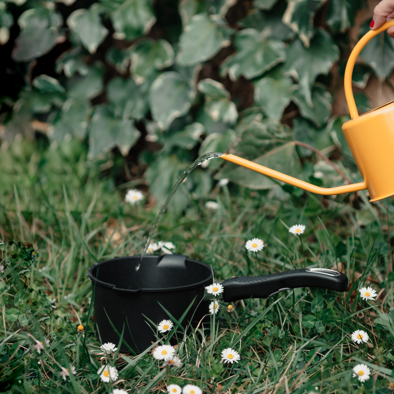 Le Soleil est Là : Gastrolux Vous Accompagne dans des Recettes Simples et Légères