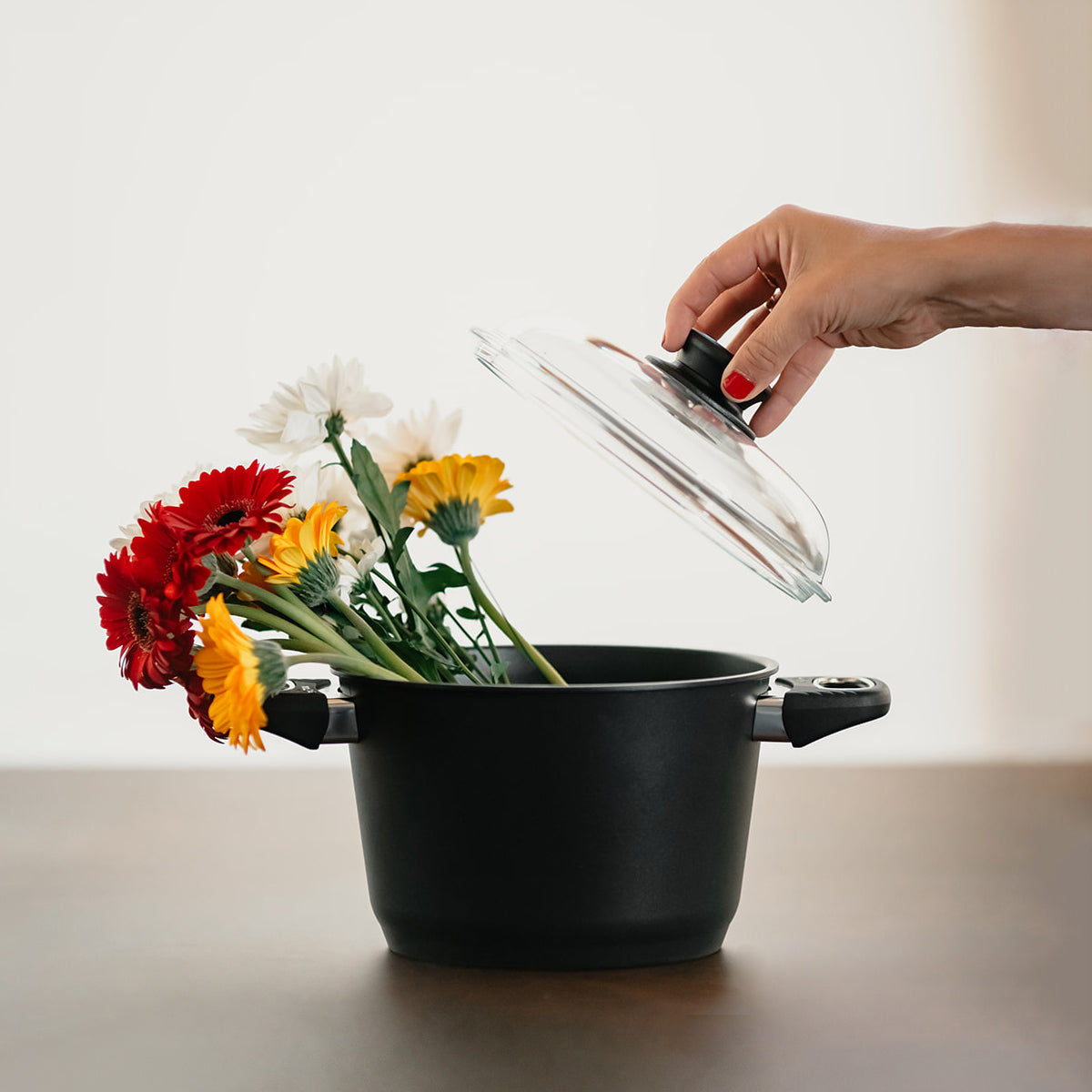 Batterie de cuisine haut de gamme Induction Gastrolux